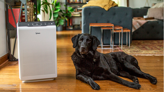 Air purifier and pets