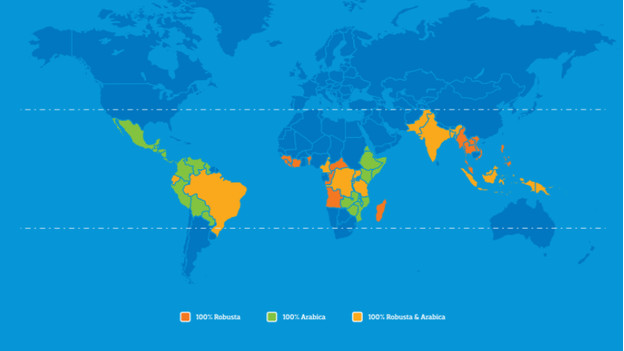 The origin of Arabica and Robusta coffee beans