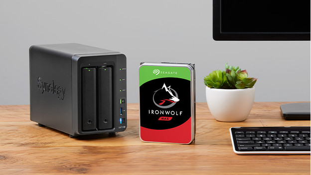 Seagate Ironwolf NAS schijf