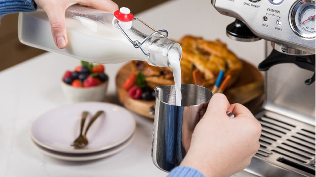 Milk pitcher with milk