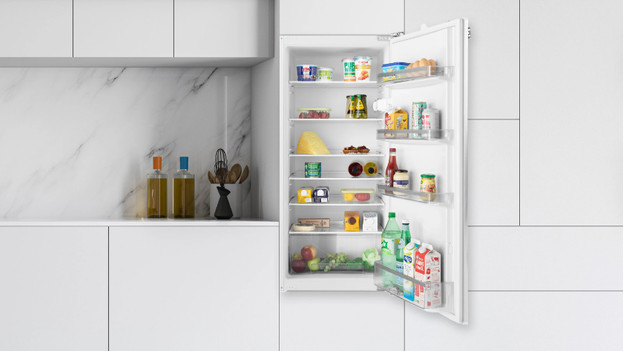 Built-in fridge