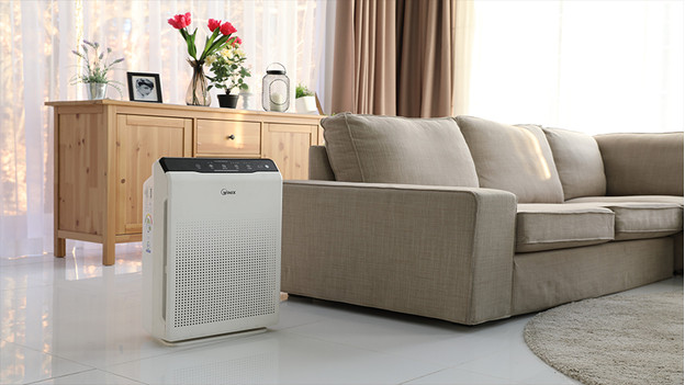 Do air purifiers help deals with hay fever