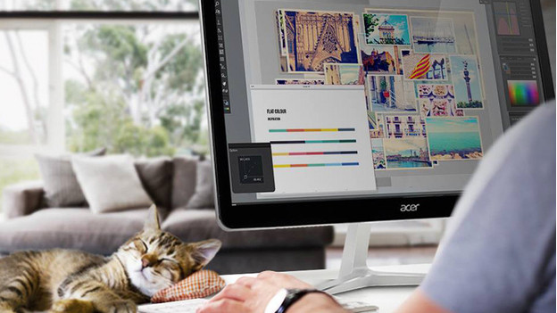 Graphic designer works on a 4K monitor, with a sleeping cat.