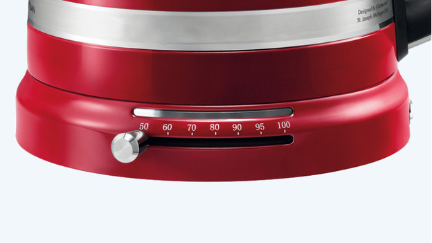 Electric kettle with adjustable temperature