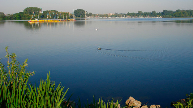 Kralingse Bos