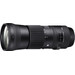 Sigma 150-600mm f/5-6.3 DG OS HSM C Nikon F + TC-1401 1.4x 