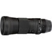 Sigma 150-600mm f/5-6.3 DG OS HSM C Nikon F + TC-1401 1.4x 