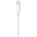 Apple Lightning to USB-A Cable 0.5m bottom