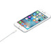 Apple Lightning to USB-A Cable 0.5m product in use