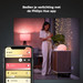 Philips Hue Smart Plug Duo pack visual leverancier