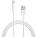 Apple Lightning to USB-A Cable 0.5m Main Image