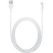 Apple Lightning naar Usb A Kabel 2 Meter Main Image