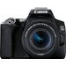 Canon EOS 250D + 18-55 f/4-5.6 IS STM Main Image