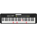 Casio Casiotone LK-S250 Main Image