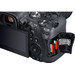 Canon EOS R6 + RF 50mm f/1.8 STM 
