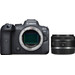 Canon EOS R6 + RF 50mm f/1.8 STM Main Image