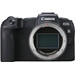 Canon EOS RP Body Main Image