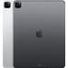 Apple iPad Pro (2021) 12.9 inch 256GB  Wifi + 5G Space Gray achterkant