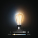 Philips Hue Filamentlamp White Ambiance Edison E27 product in gebruik