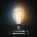 Philips Hue Filament White Ambiance Edison XL 3-pack + Bridge product in use