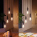 Philips Hue Filament White Ambiance Edison XL 3-pack product in gebruik