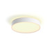 Philips Hue Enrave M Ceiling Lamp White Ambiance White + Dimmer Main Image