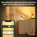 Philips Hue Iris White and Color Special Edition Gold 