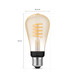 Philips Hue Filament White Ambiance Edison 2-Pack + Bridge detail