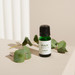 Duux Aromatherapie Eucalyptus 