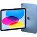 Refurbished iPad (2022) 64GB Wifi Blauw (Zo goed als nieuw) achterkant