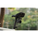 DJI Osmo Action Bike Seat Rail Mount product in use