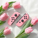 Nintendo Switch Joy-Con set Roze visual leverancier