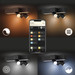 Philips Hue Centris Mounted Spot White and Color 3 Lights Black Cross Shaped visual supplier