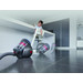 Dyson Big Ball Absolute 2 product in use