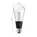 Philips Hue Lightguide Edison White and Color E27 visual supplier