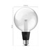 Philips Hue Lightguide Globe XL White and Color E27 visual leverancier