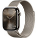 Apple Watch Series 10 4G 42mm Titanium Silver Milanese Watch Strap Main Image