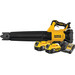 DeWalt 18V XR Axiale 5,0 Ah Accu (2x) Starterspakket Main Image