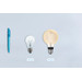 Philips Hue Filament Light White Globe E27 3-pack visual Coolblue 1