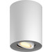 Philips Hue Pillar Opbouwspot White Ambiance - Wit - 1-spots Main Image