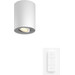 Philips Hue Pillar Opbouwspot White Ambiance - Wit - 1-spots + Dimmer Main Image