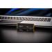 Crucial P310 500GB NVMe SSD visual leverancier