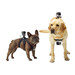 GoPro Fetch Dog Harness product in gebruik