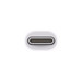 Apple Thunderbolt 3 (usb C) naar Thunderbolt 2 Adapter detail