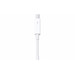 Apple Thunderbolt to Gigabit Ethernet Adapter front