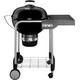 Weber Performer GBS 57 cm