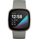 Fitbit Sense Groen/Zilver