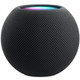 Apple HomePod Mini Gray