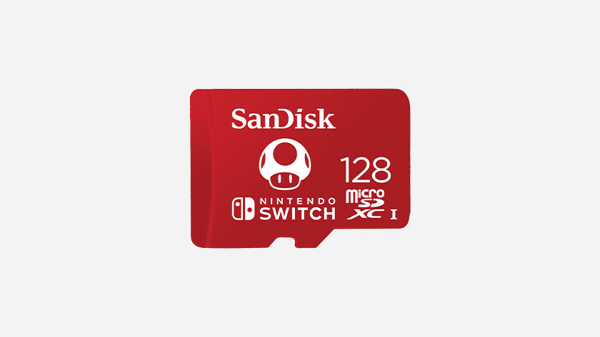 nintendo switch sd card type
