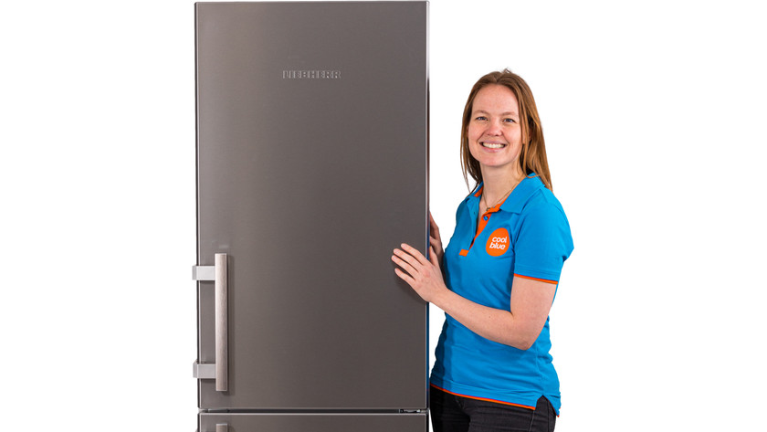Product Expert freestanding fridges